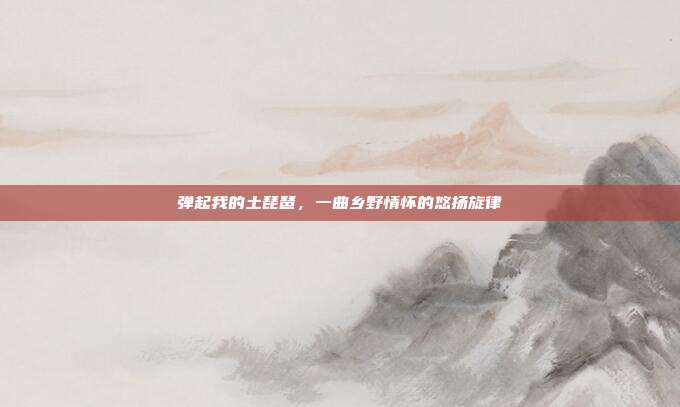 弹起我的土琵琶，一曲乡野情怀的悠扬旋律
