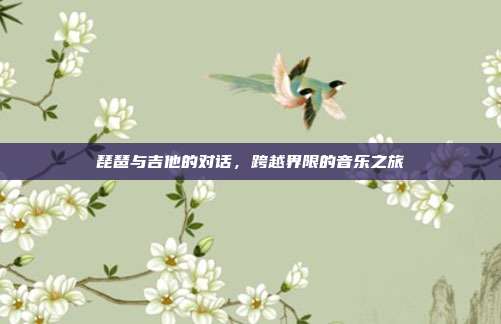 琵琶与吉他的对话，跨越界限的音乐之旅
