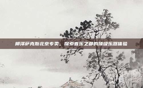 柳泽萨克斯北京专卖，探索音乐之都的顶级乐器体验