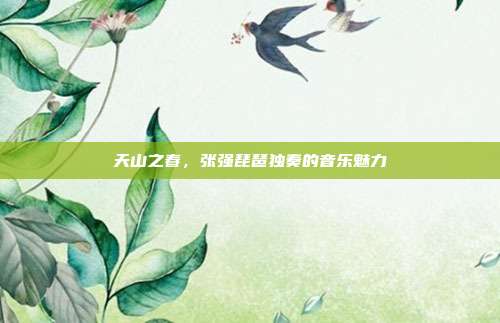 天山之春，张强琵琶独奏的音乐魅力