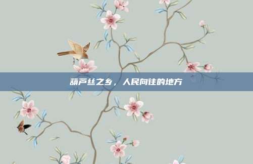 葫芦丝之乡，人民向往的地方