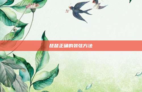 琵琶正确的装弦方法