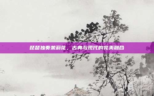 琵琶独奏茉莉花，古典与现代的完美融合