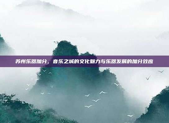 苏州乐器加分，音乐之城的文化魅力与乐器发展的加分效应