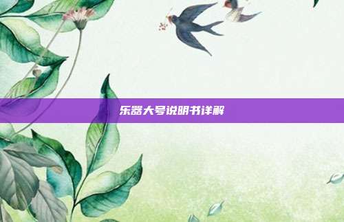 乐器大号说明书详解