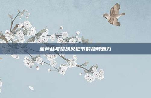 葫芦丝与黎族火把节的独特魅力