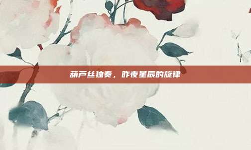 葫芦丝独奏，昨夜星辰的旋律