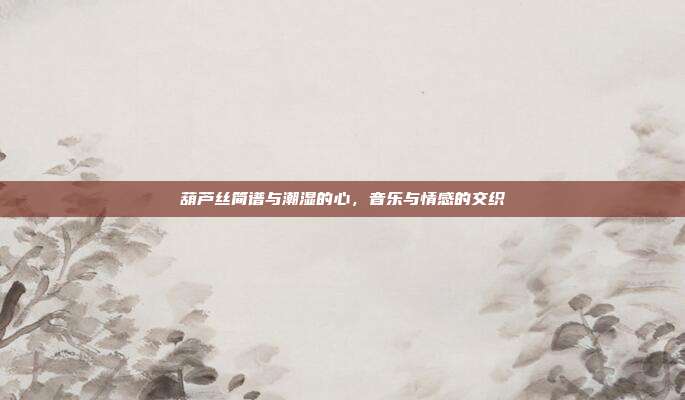 葫芦丝简谱与潮湿的心，音乐与情感的交织