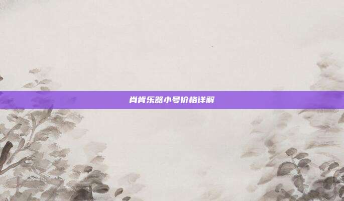 肖肯乐器小号价格详解