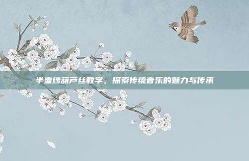半壶纱葫芦丝教学，探索传统音乐的魅力与传承