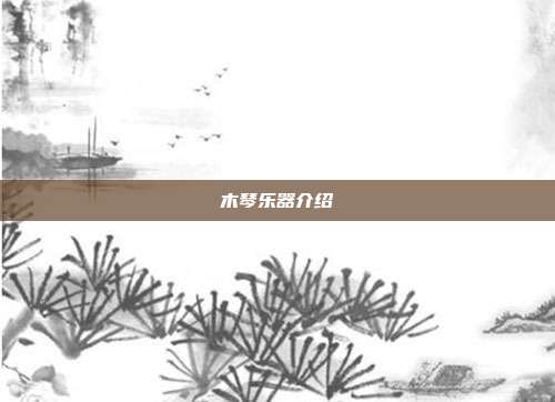 木琴乐器介绍
