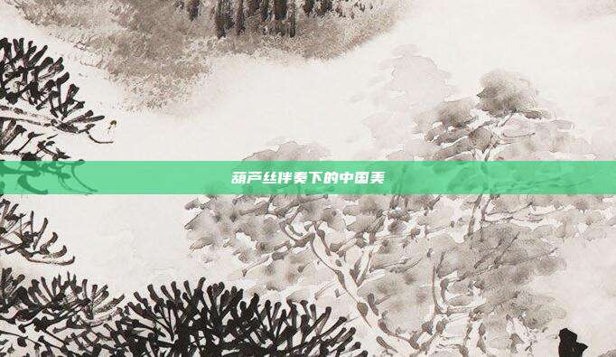 葫芦丝伴奏下的中国美