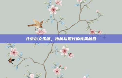北京尔文乐器，传统与现代的完美结合