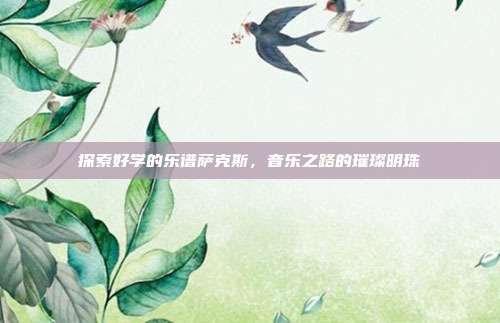探索好学的乐谱萨克斯，音乐之路的璀璨明珠