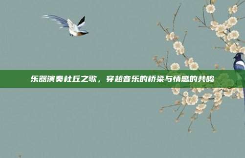 乐器演奏杜丘之歌，穿越音乐的桥梁与情感的共鸣