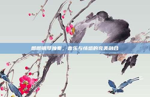 郎郎钢琴独奏，音乐与情感的完美融合