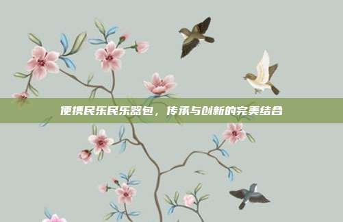 便携民乐民乐器包，传承与创新的完美结合