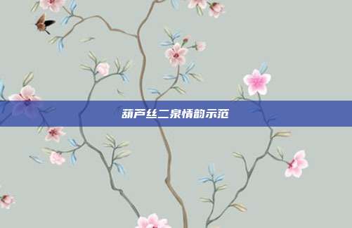 葫芦丝二泉情韵示范