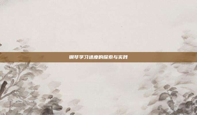 钢琴学习进度的探索与实践