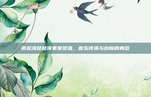 南泥湾琵琶演奏家张强，音乐传承与创新的典范
