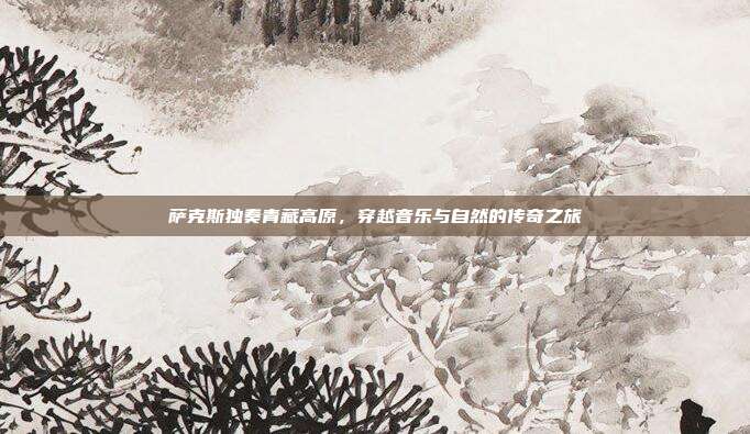 萨克斯独奏青藏高原，穿越音乐与自然的传奇之旅