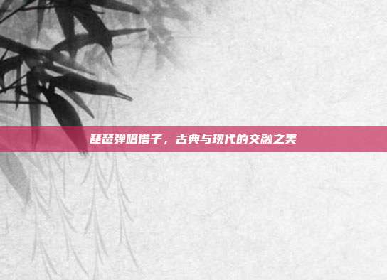 琵琶弹唱谱子，古典与现代的交融之美