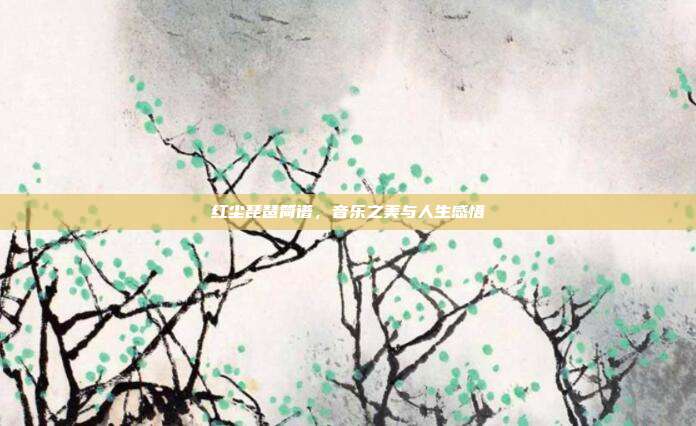 红尘琵琶简谱，音乐之美与人生感悟