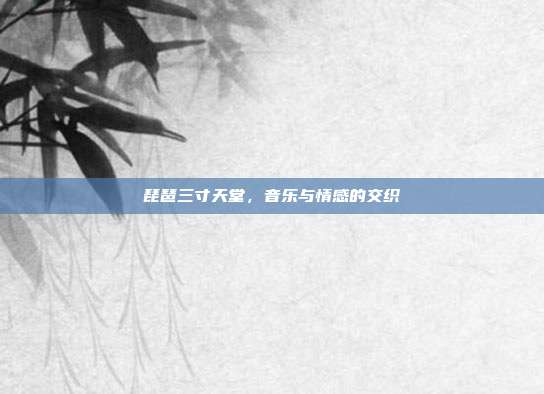 琵琶三寸天堂，音乐与情感的交织