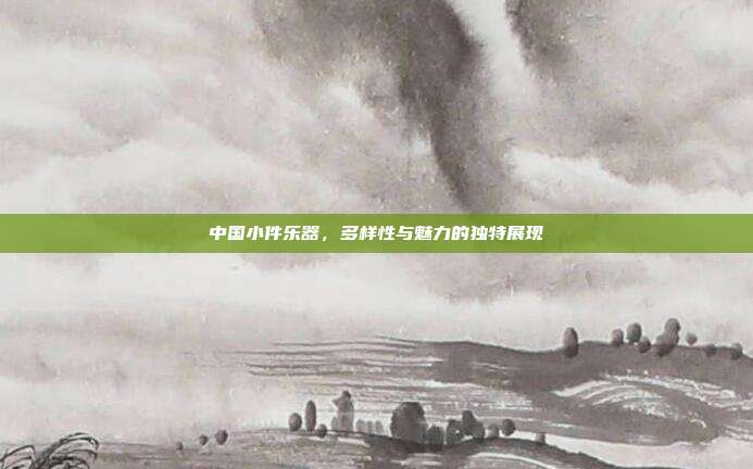 中国小件乐器，多样性与魅力的独特展现