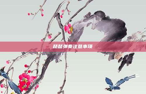 琵琶弹奏注意事项
