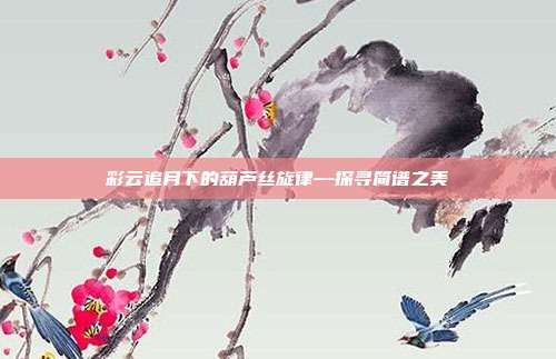 彩云追月下的葫芦丝旋律—探寻简谱之美