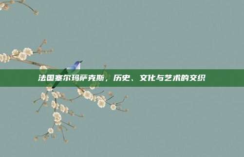 法国塞尔玛萨克斯，历史、文化与艺术的交织