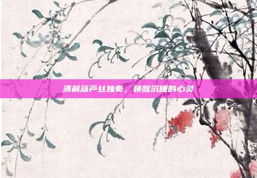清晨葫芦丝独奏，唤醒沉睡的心灵