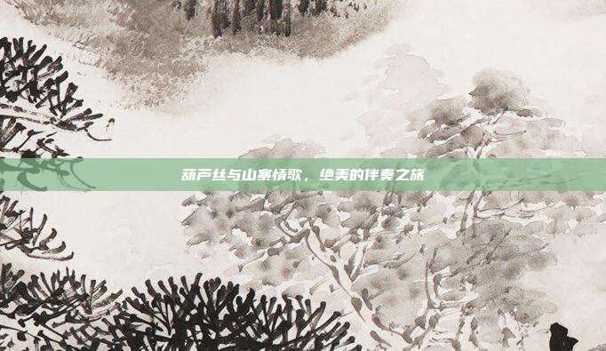 葫芦丝与山寨情歌，绝美的伴奏之旅