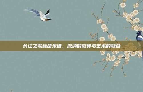 长江之歌琵琶乐谱，流淌的旋律与艺术的融合