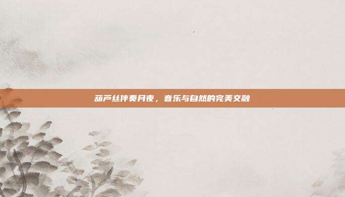 葫芦丝伴奏月夜，音乐与自然的完美交融