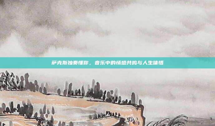 萨克斯独奏懂你，音乐中的情感共鸣与人生体悟