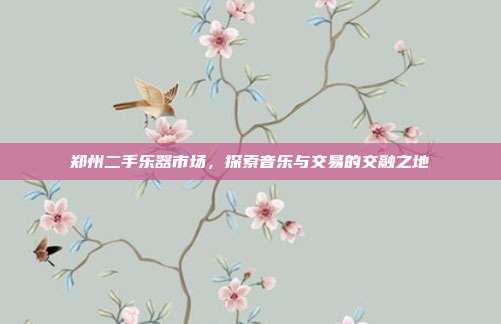 郑州二手乐器市场，探索音乐与交易的交融之地