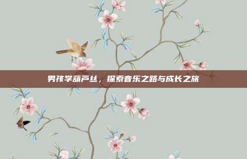 男孩学葫芦丝，探索音乐之路与成长之旅