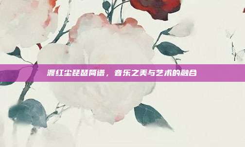 渡红尘琵琶简谱，音乐之美与艺术的融合