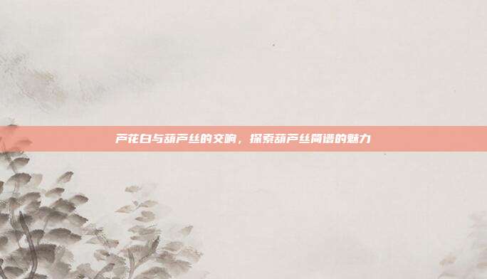 芦花白与葫芦丝的交响,探索葫芦丝简谱的魅力