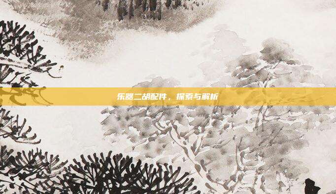乐器二胡配件，探索与解析