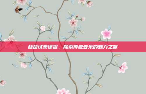 琵琶试奏课程，探索传统音乐的魅力之旅