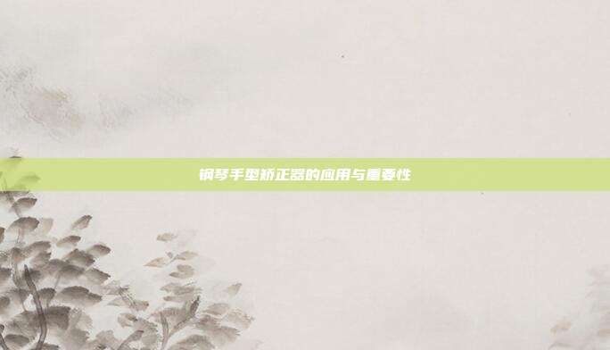 钢琴手型矫正器的应用与重要性