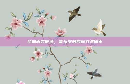 琵琶雨吉他谱，音乐交融的魅力与探索