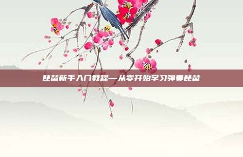 琵琶新手入门教程—从零开始学习弹奏琵琶