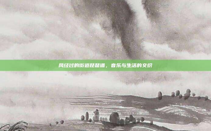 风经过的街道琵琶谱,音乐与生活的交织
