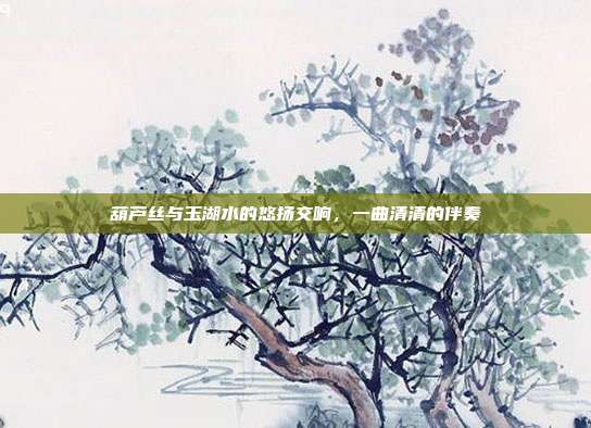 葫芦丝与玉湖水的悠扬交响，一曲清清的伴奏