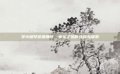 学小提琴还是钢琴，音乐之路的选择与探索
