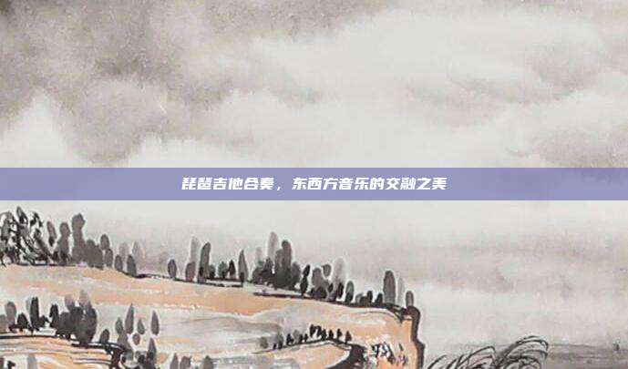 琵琶吉他合奏，东西方音乐的交融之美